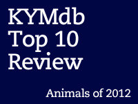 Top Ten Animals of 2012
