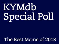 Vote Now: Your Favorite Meme of 2013 Vote Now: Your Favorite Meme of 2013