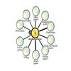 The MemeChart Project