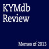 Best Memes of 2013: Editorial Choices