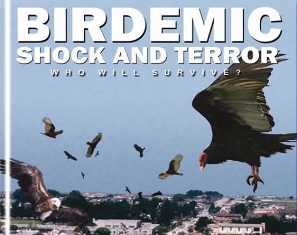 birdemic birdemic