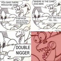 double nigger