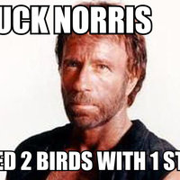 Chuck Norris Facts