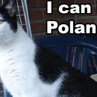 http://i3.kym-cdn.com/entries/icons/medium/000/000/990/kitler1.jpg