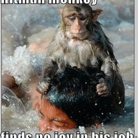 Hitman Monkey