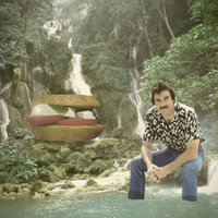 Selleck Waterfall Sandwich