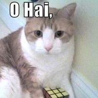 OH HAI