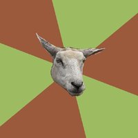 Gamer Sheep