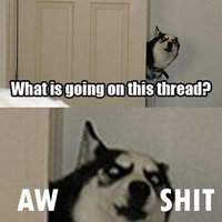Hey Guys What's Going On This Thread?