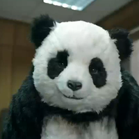 Never Say No to Panda