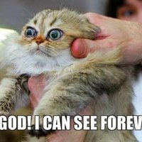Oh God! I Can See Forever!
