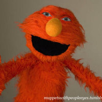 Muppets With People's Eyes