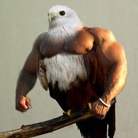 Birds with Arms