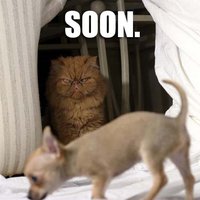 SOON
