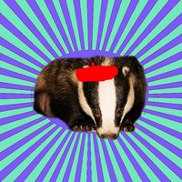 Blatant Badger