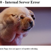 Headache Puppy