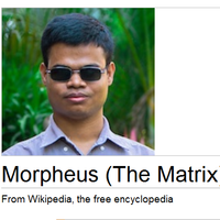 Wikipedia Donation Banner Captions