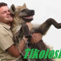 Tikoloshe!