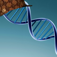 Scumbag DNA
