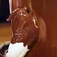 Chocolate Bird