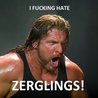 I hate zerglings!