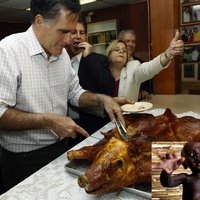 Feeding On Suffering