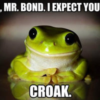Therapy Frog