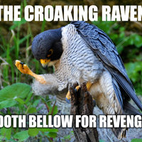 SHAKESPEREGRINE