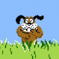 Duck Hunt