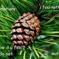 Interior Monologue Captioning