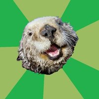 OCD Otter