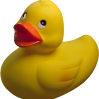 Rubber Ducks
