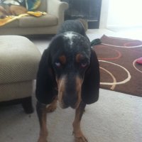 Depressed Bella