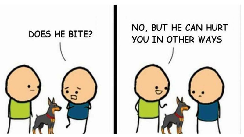This Dog's Bark Is Worse Than Its Bite