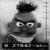 Bert Is Evil! Bert Is Evil!