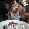 Do Want / Do Not Want
