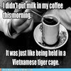 Vietnamese-tiger-cage