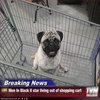 TVN Exclusive TVN Exclusive