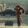 Breakdancing Bear