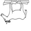 HELICOPTER HORSE