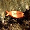 Fish Biscuit
