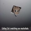 Ceiling Cat Ceiling Cat
