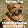 X Does Not Approve/ Approves