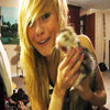 Tabby Tabby