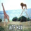 WTF H4X WTF H4X