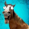 Jeremy the Annoying Horse