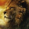 Power Lion Power Lion