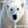 Ice Bear Judges You Ice Bear Judges You