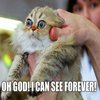 Oh God! I Can See Forever! Oh God! I Can See Forever!