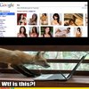 WTF is that? WTF is that?